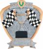 Racing Flags Shield Resin